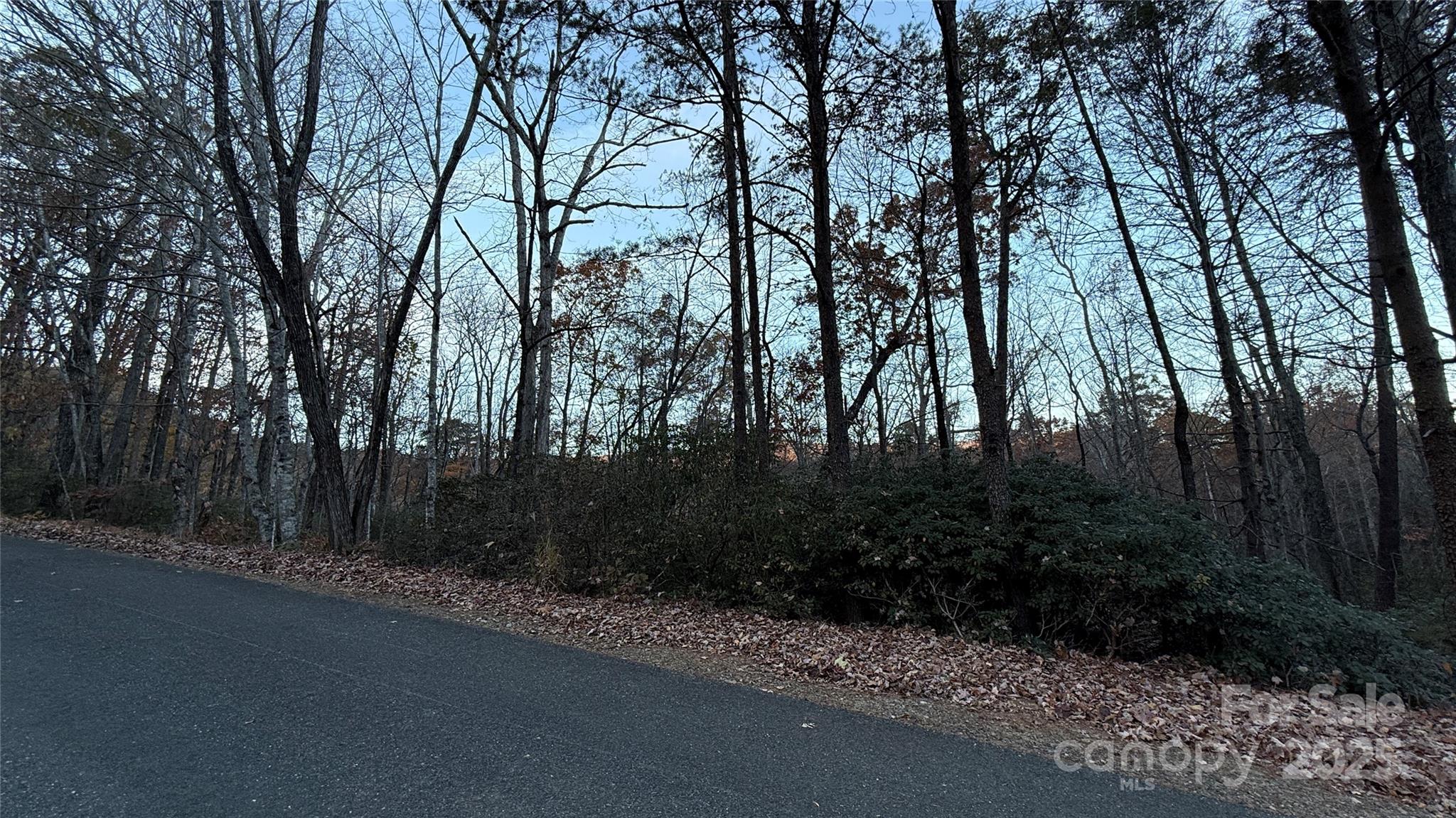 0 Quail Ridge Road Lake Lure NC 28746