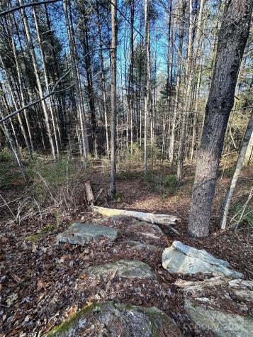 0 Conroy Court Lenoir NC 28645