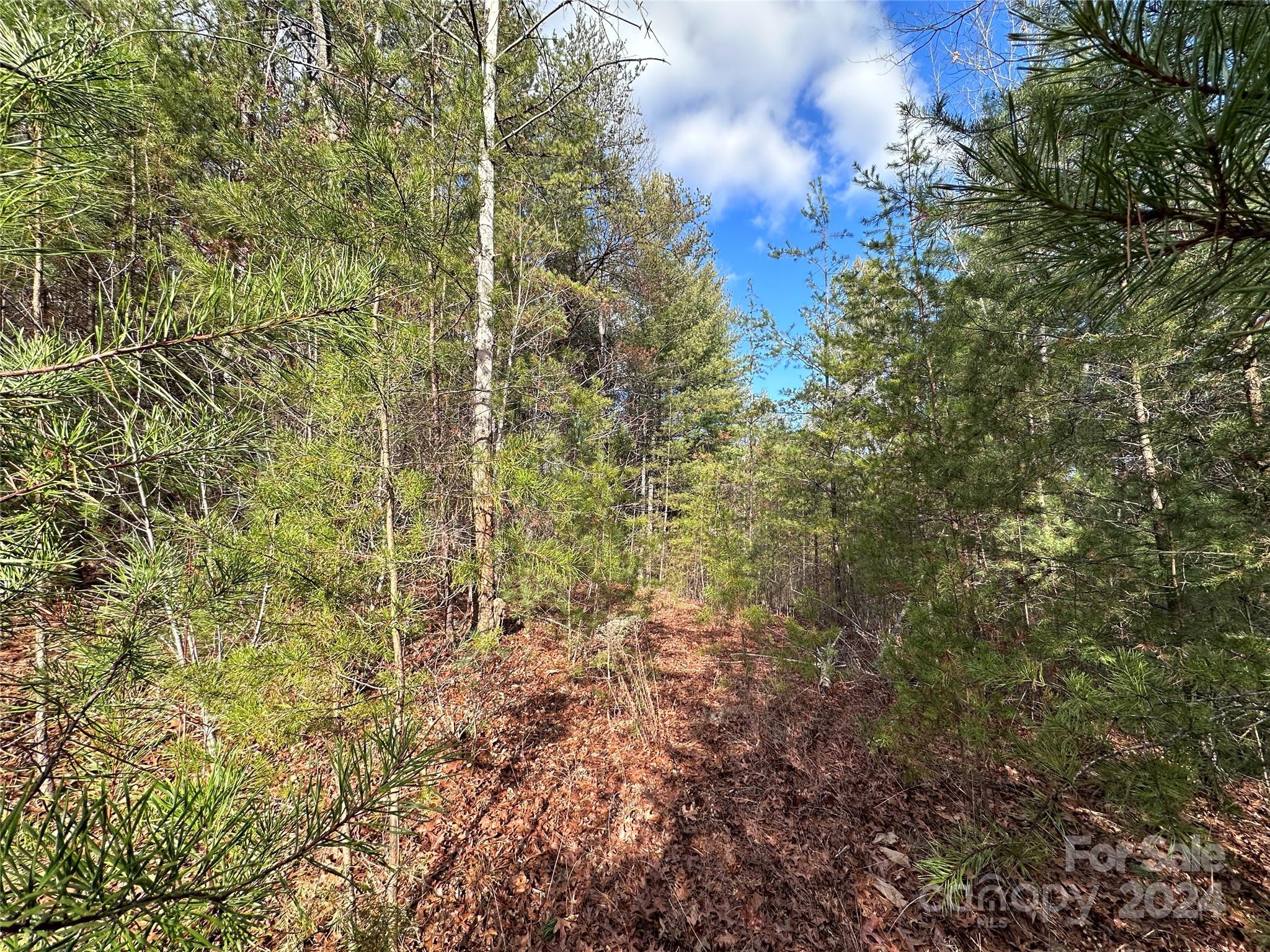 0 Conroy Court Lenoir NC 28645