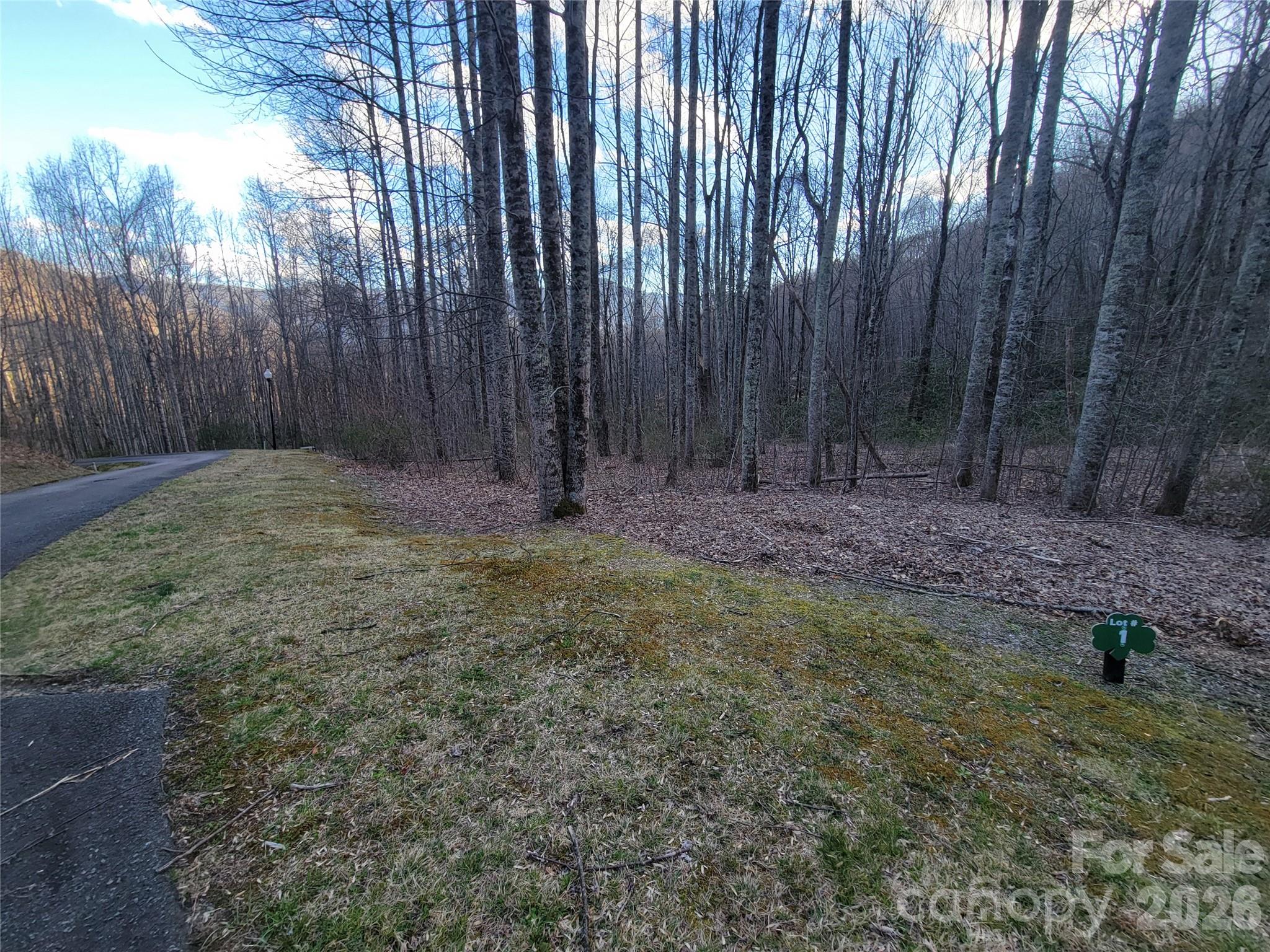 00 Covecrest Lane Maggie Valley NC 28751