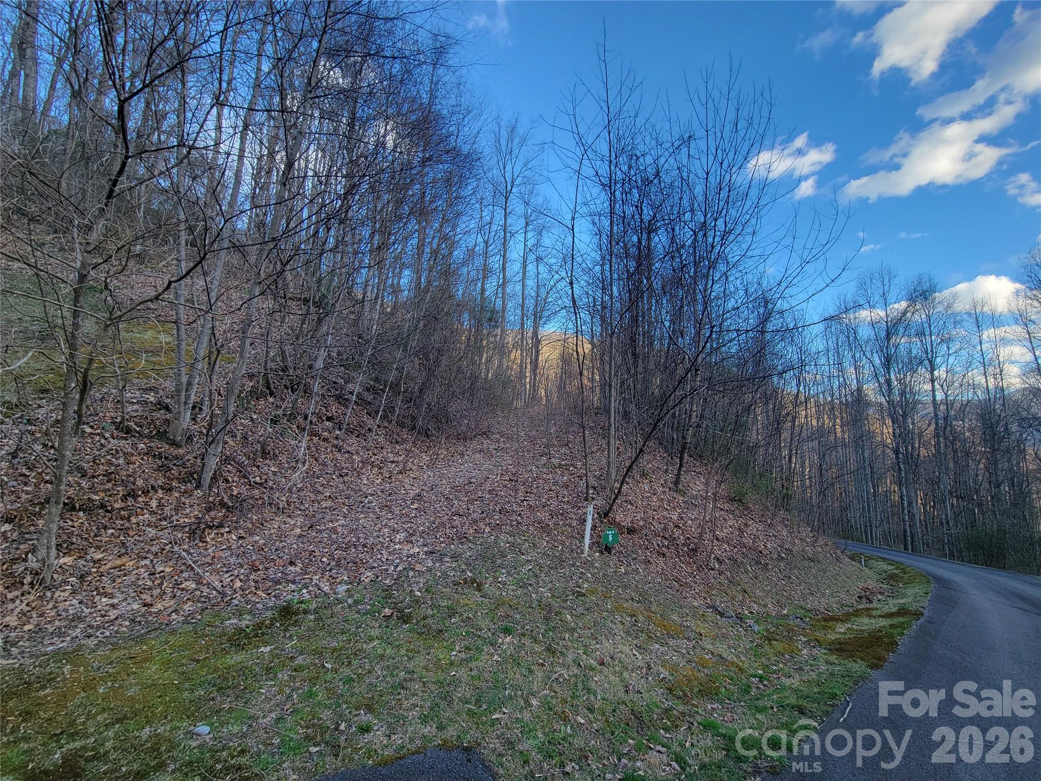 00 Covecrest Lane Maggie Valley NC 28751
