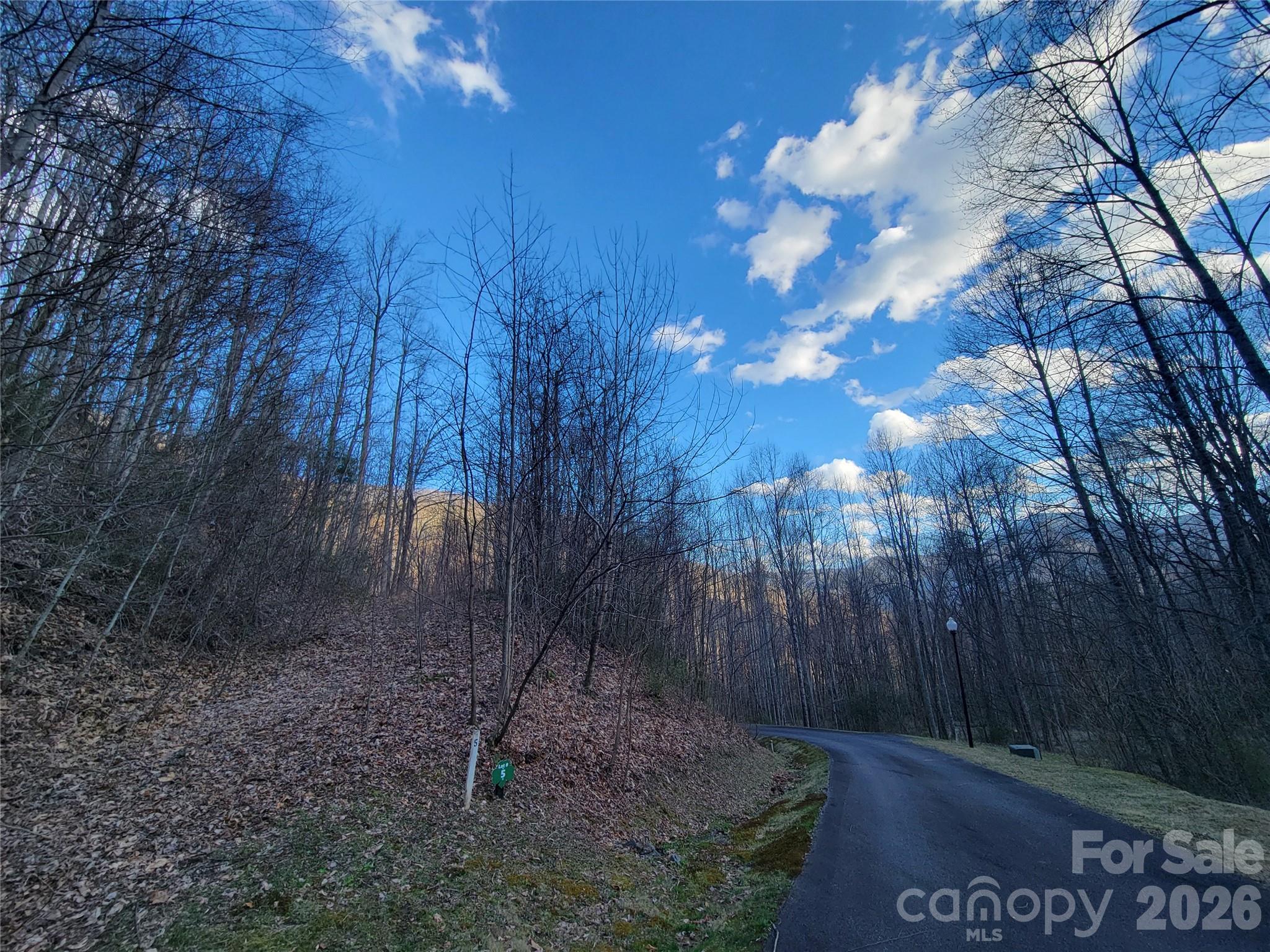 00 Covecrest Lane Maggie Valley NC 28751