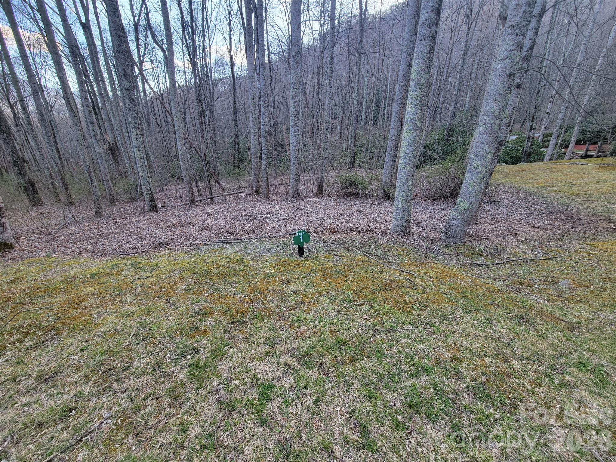 00 Covecrest Lane Maggie Valley NC 28751
