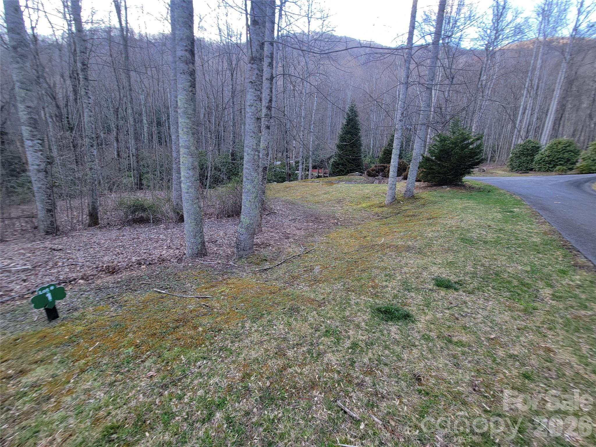 00 Covecrest Lane Maggie Valley NC 28751