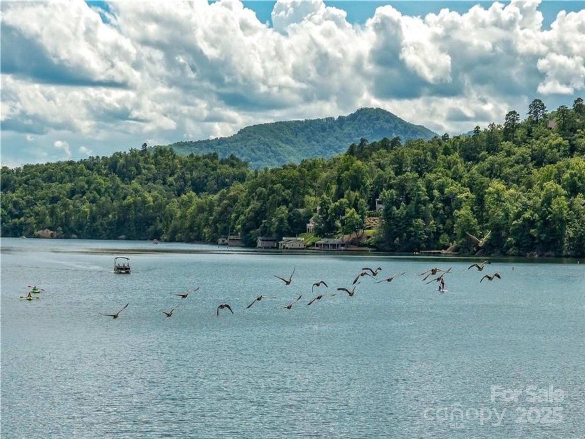 0 Winesap Boulevard Lake Lure NC 28746