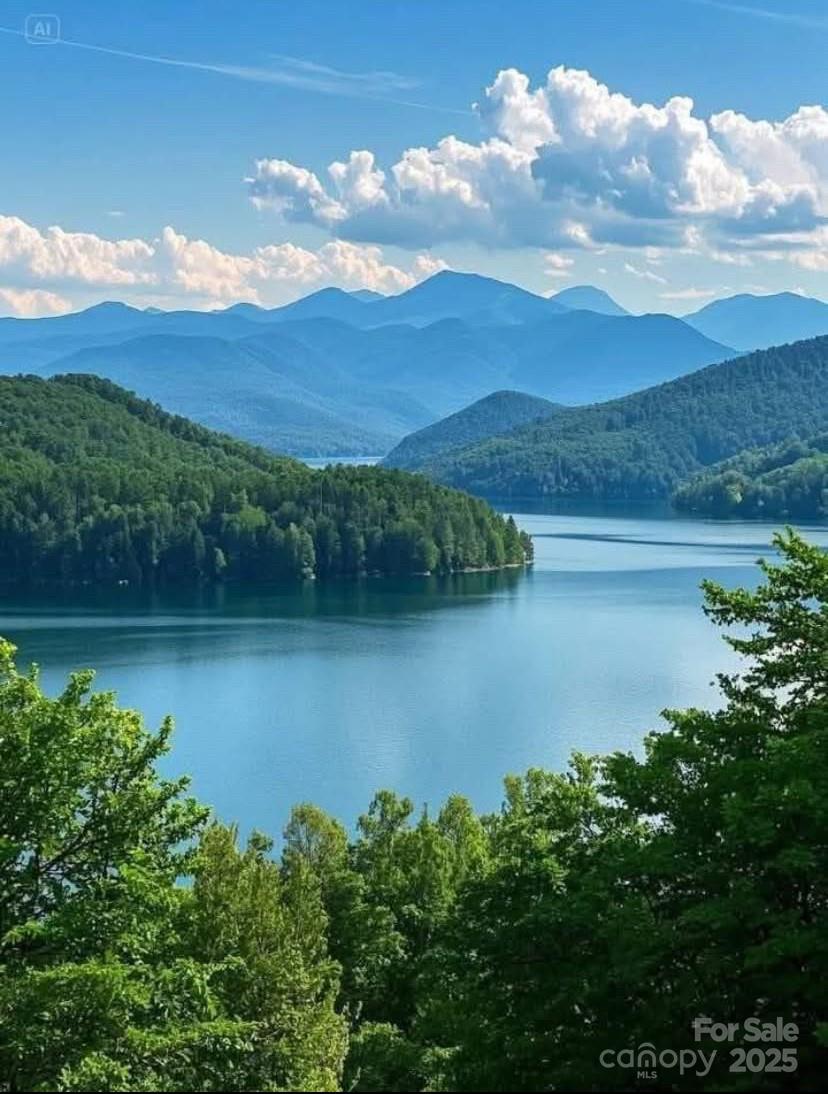 0 Winesap Boulevard Lake Lure NC 28746