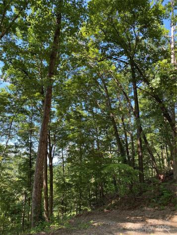 0 Winesap Boulevard Lake Lure NC 28746