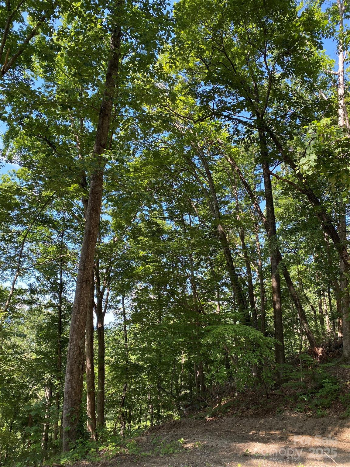 0 Winesap Boulevard Lake Lure NC 28746