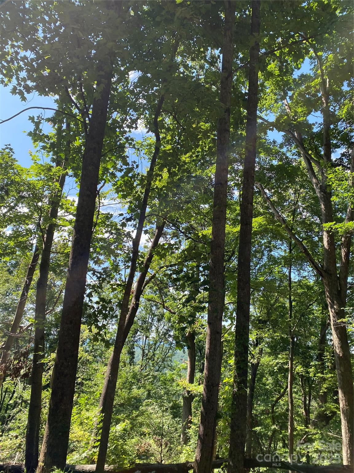0 Winesap Boulevard Lake Lure NC 28746