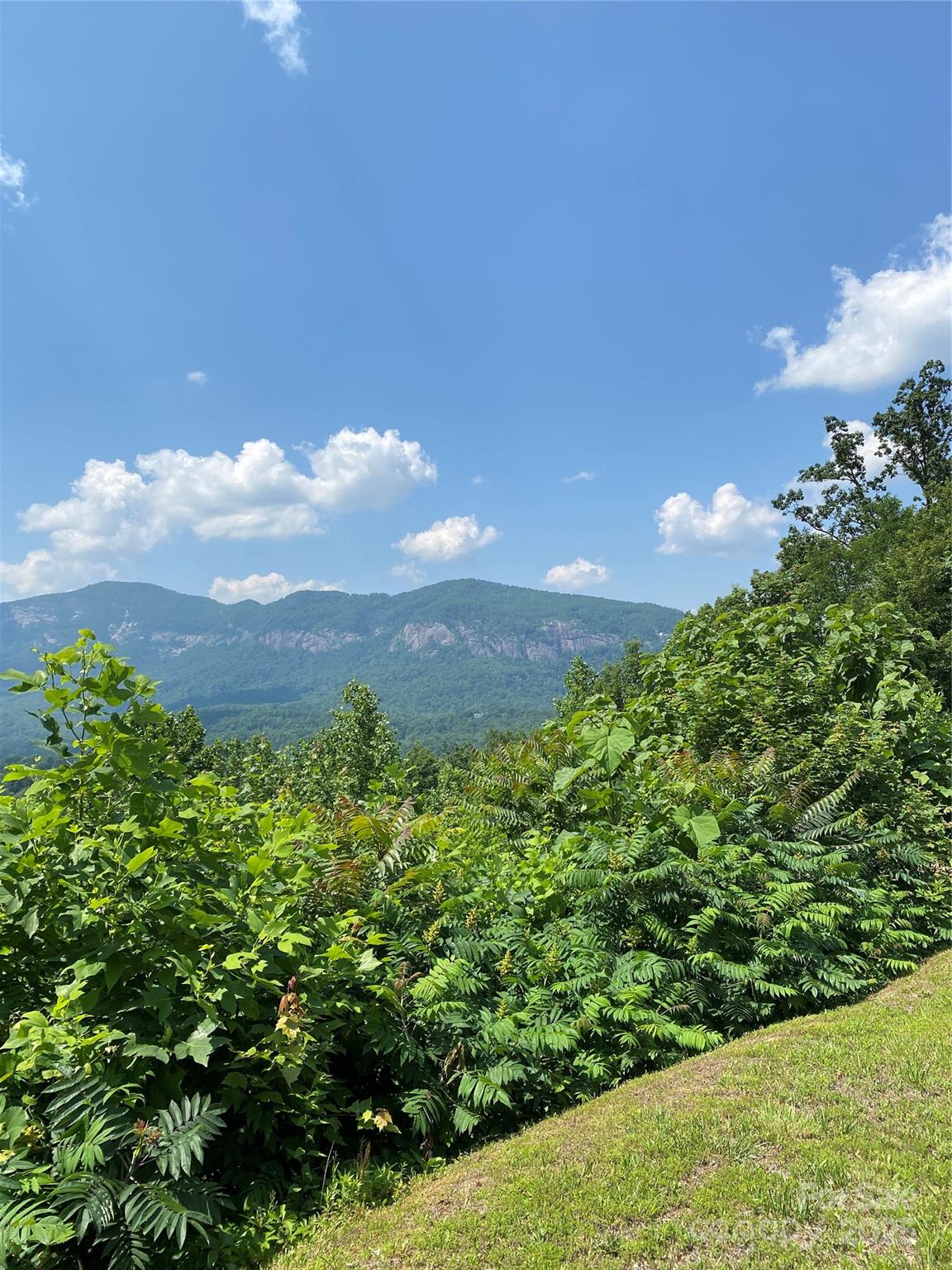0 Winesap Boulevard Lake Lure NC 28746