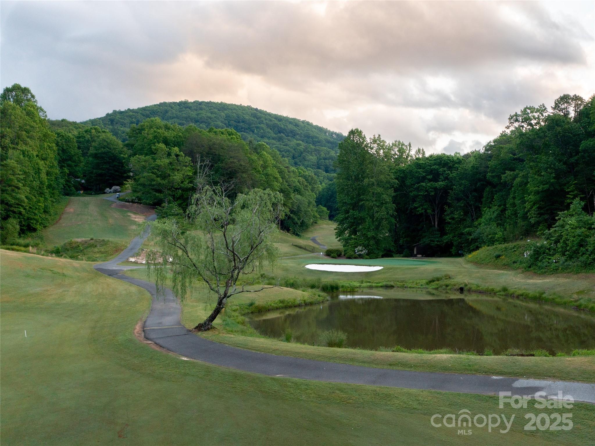 0 Winesap Boulevard Lake Lure NC 28746