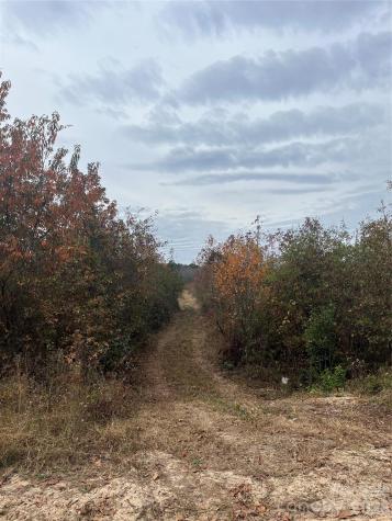 Tbd Wire 2 Road Cheraw SC 29520
