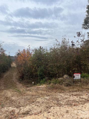 Tbd Wire 2 Road Cheraw SC 29520