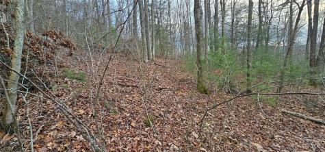 Lot 13 Seay Mountain Road Waynesville NC 28785
