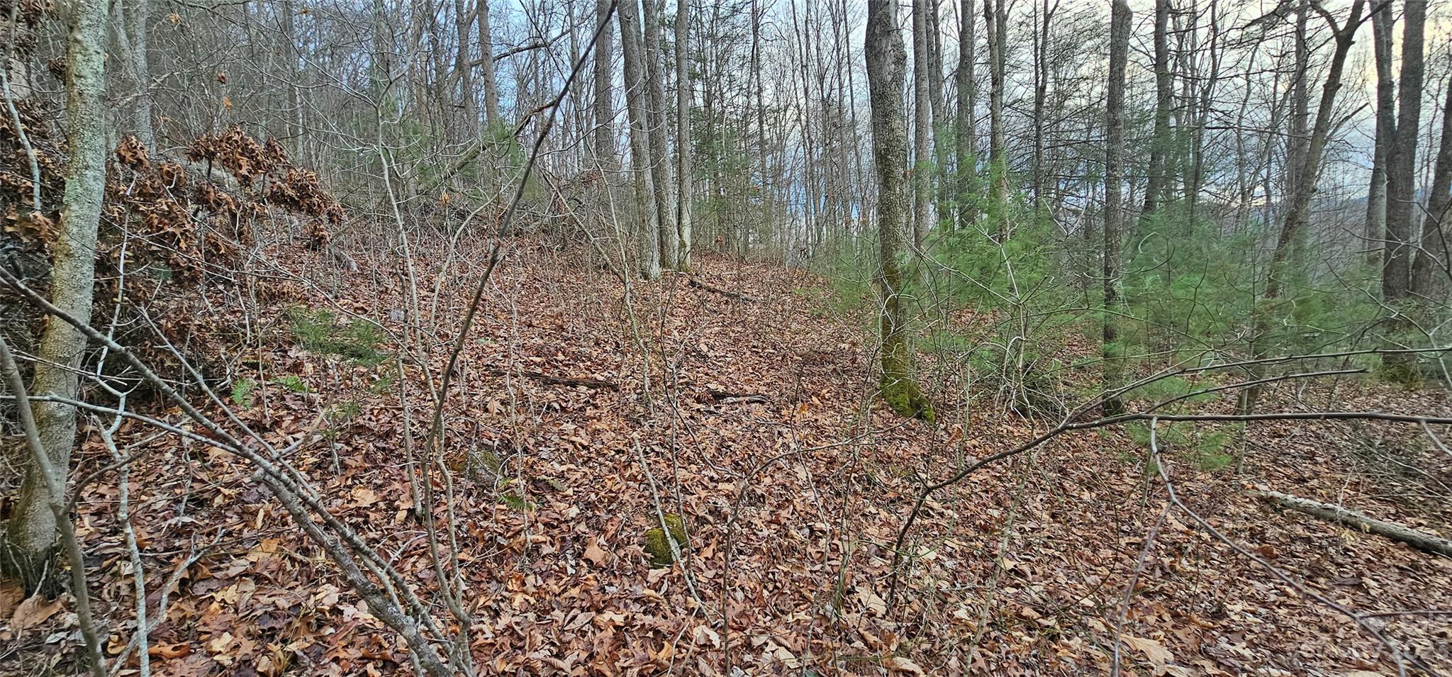 Lot 13 Seay Mountain Road Waynesville NC 28785