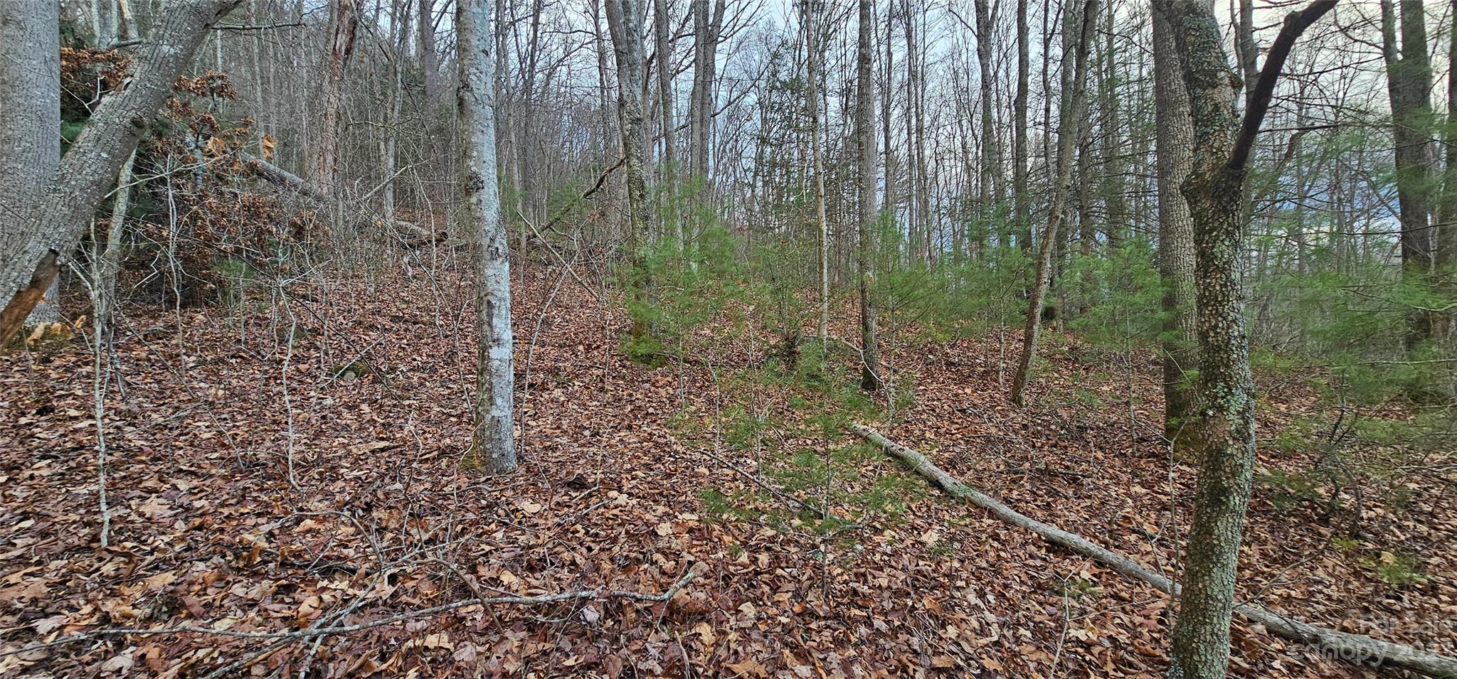 Lot 13 Seay Mountain Road Waynesville NC 28785