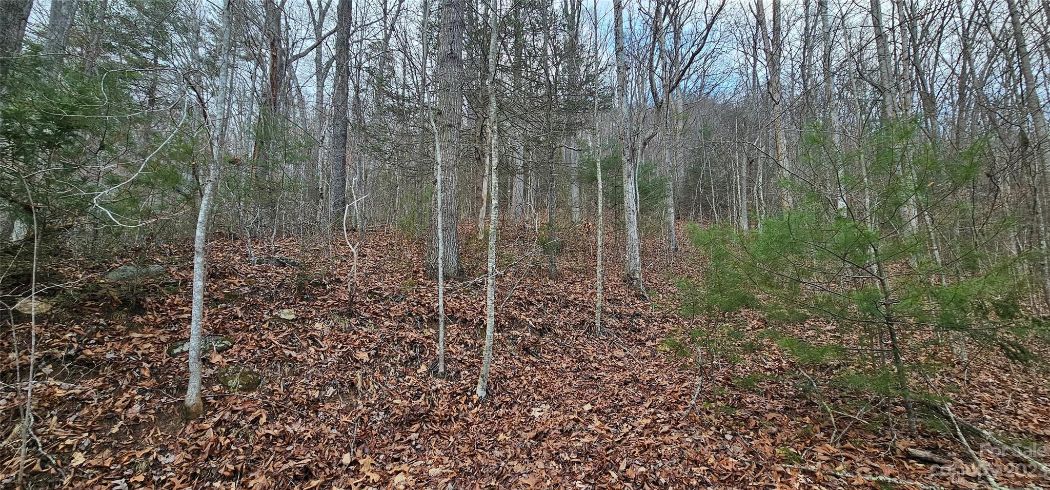 Lot 13 Seay Mountain Road Waynesville NC 28785