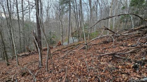 Lot 13 Seay Mountain Road Waynesville NC 28785