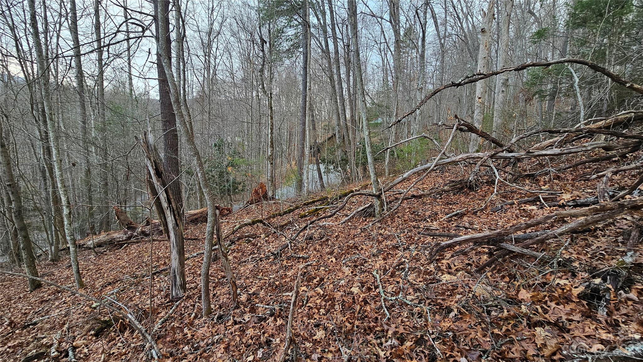 Lot 13 Seay Mountain Road Waynesville NC 28785