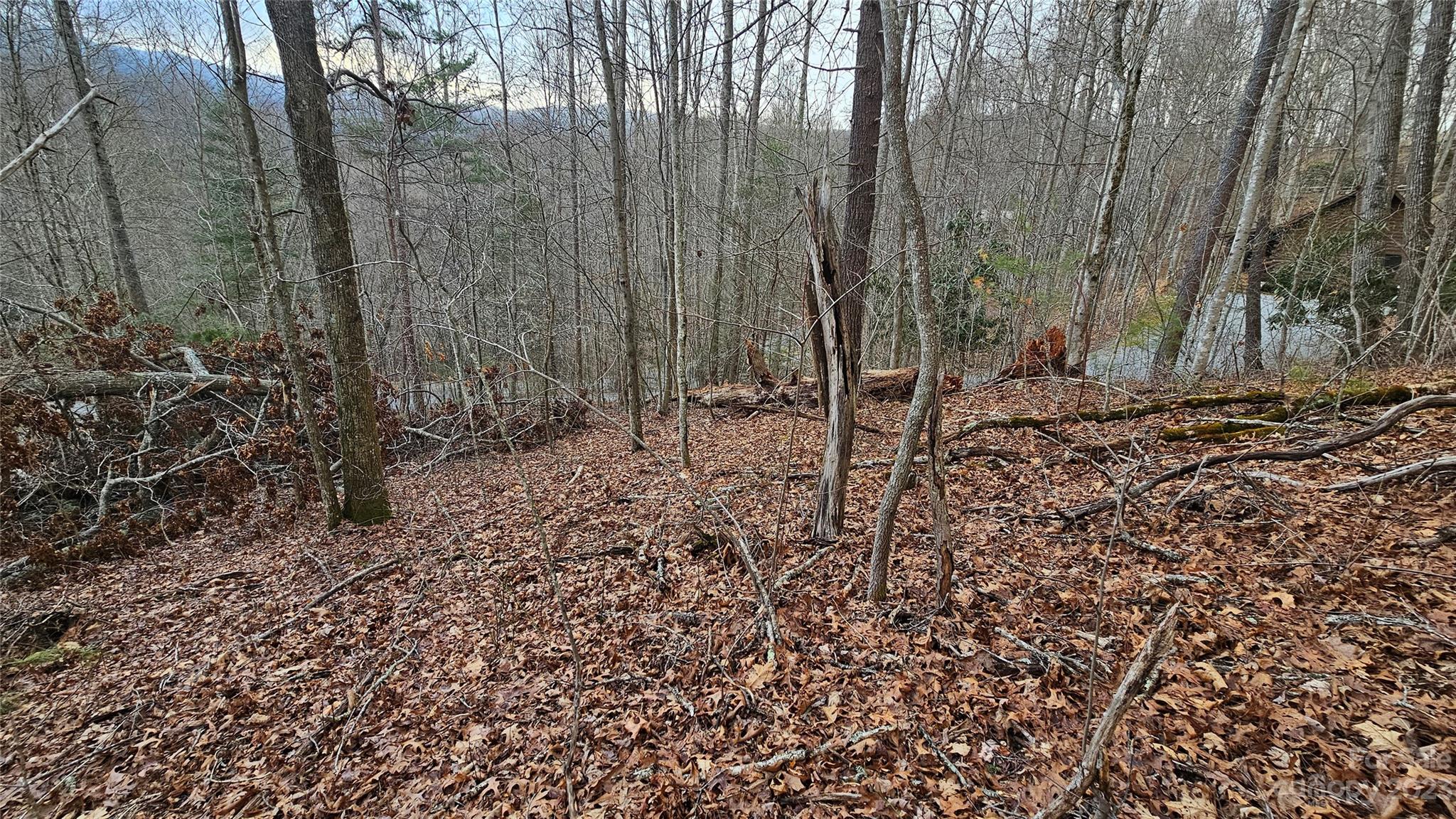 Lot 13 Seay Mountain Road Waynesville NC 28785