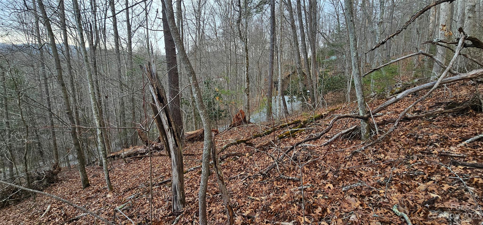 Lot 13 Seay Mountain Road Waynesville NC 28785