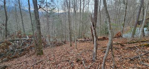 Lot 13 Seay Mountain Road Waynesville NC 28785