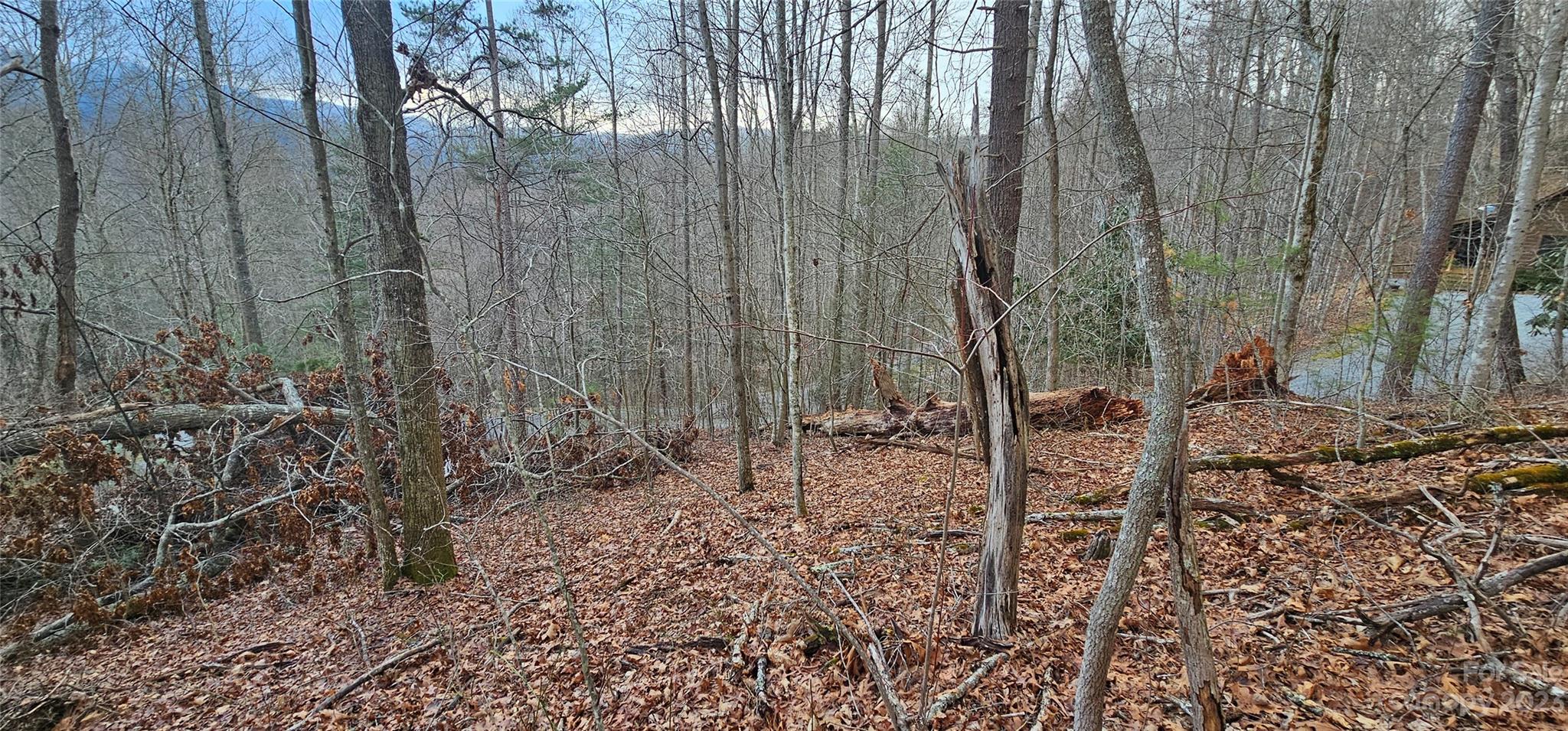 Lot 13 Seay Mountain Road Waynesville NC 28785