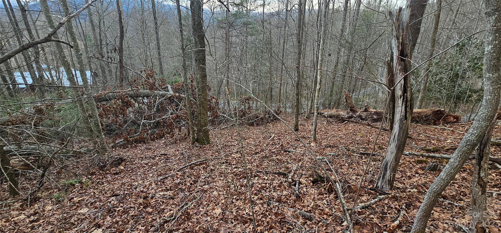 Lot 13 Seay Mountain Road Waynesville NC 28785