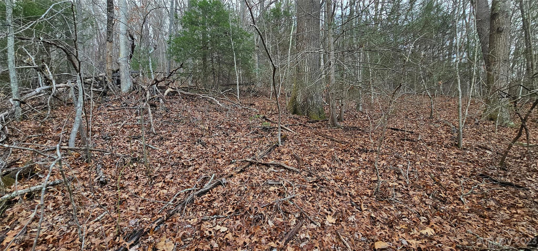 Lot 13 Seay Mountain Road Waynesville NC 28785