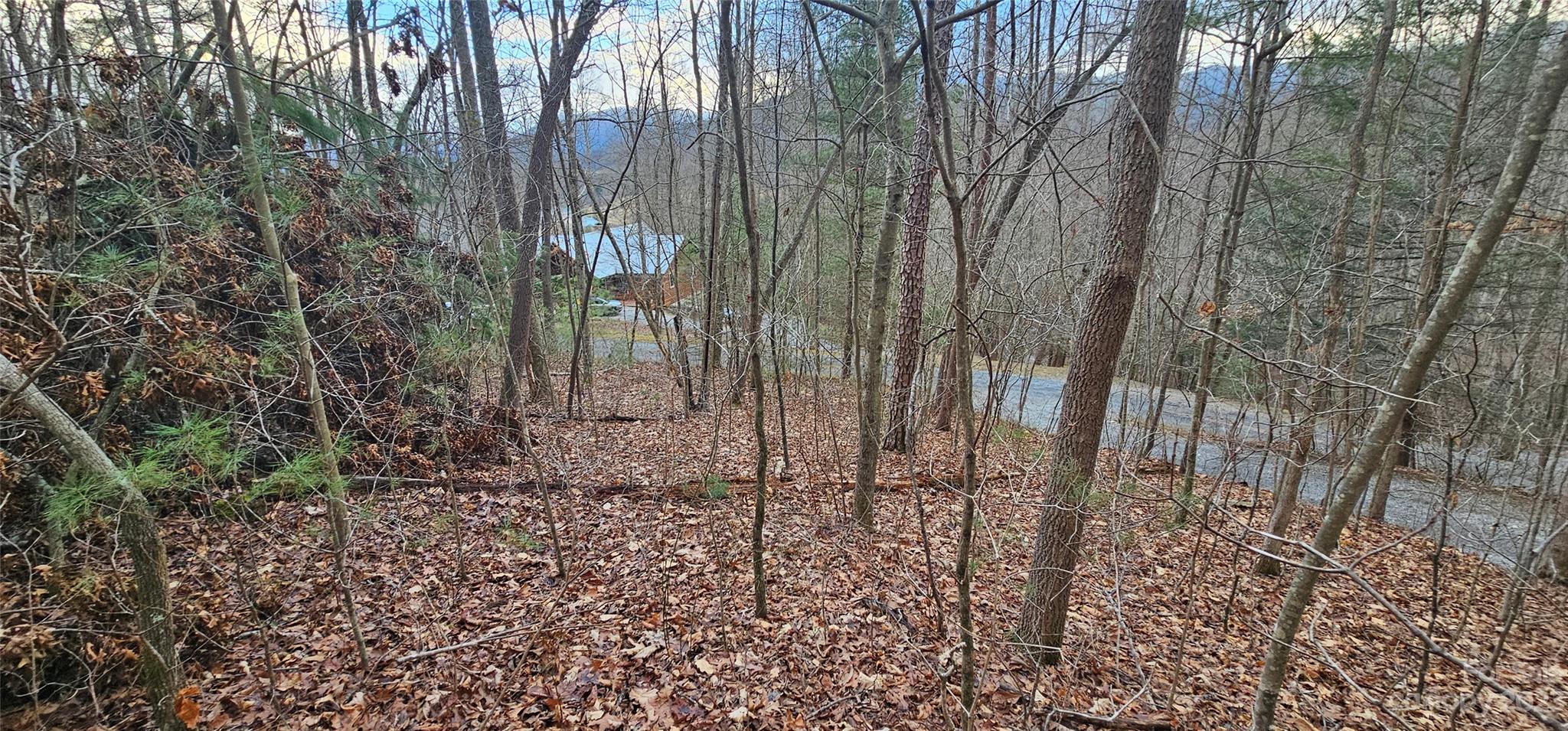 Lot 13 Seay Mountain Road Waynesville NC 28785