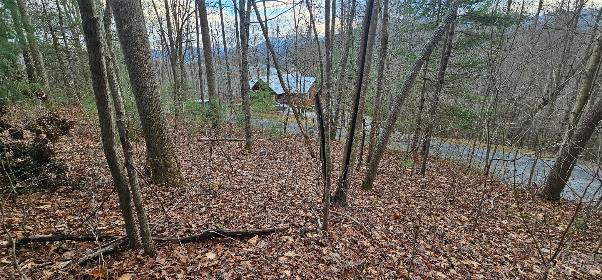 Lot 13 Seay Mountain Road Waynesville NC 28785