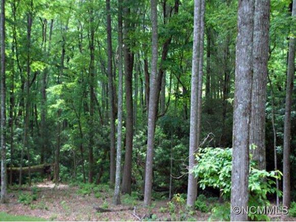 48 Slide Rock Way Fairview NC 28730
