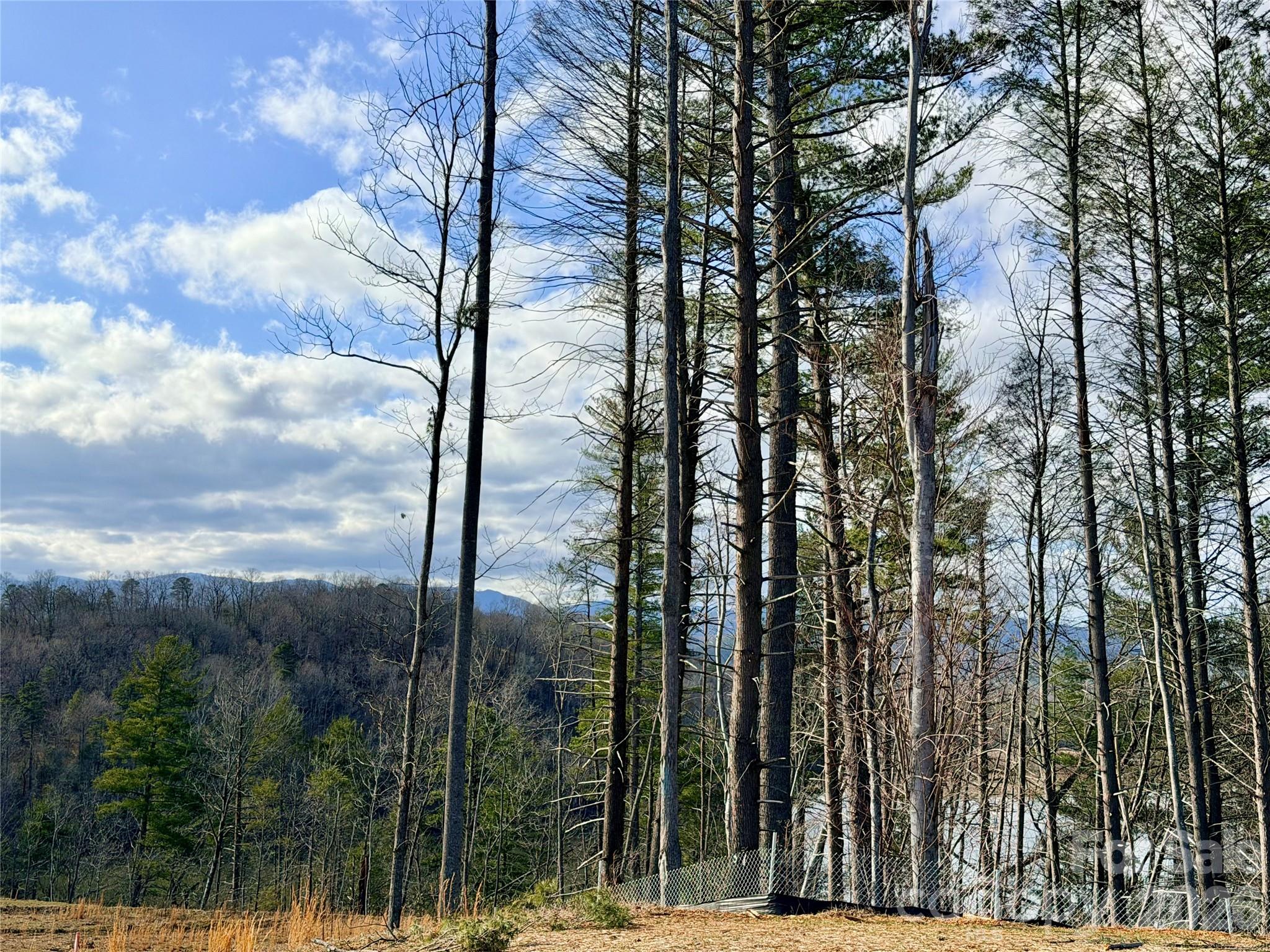 Tbd Bluehill Parkway Marion NC 28752