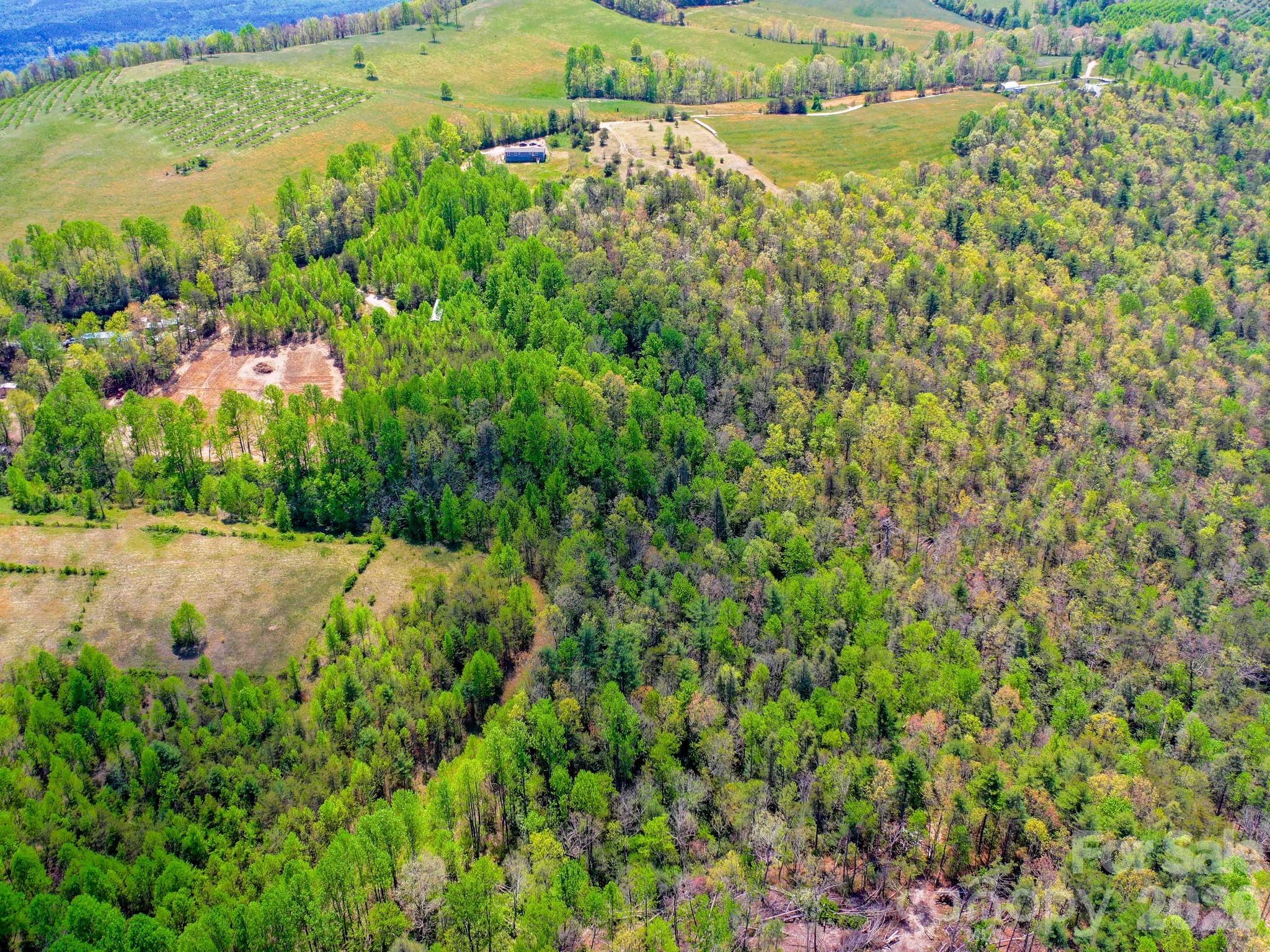 3646 Summer Road Hendersonville NC 28792