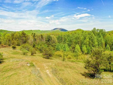 3646 Summer Road Hendersonville NC 28792
