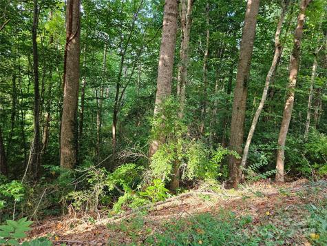 00 General Griffith Circle Rutherfordton NC 28139