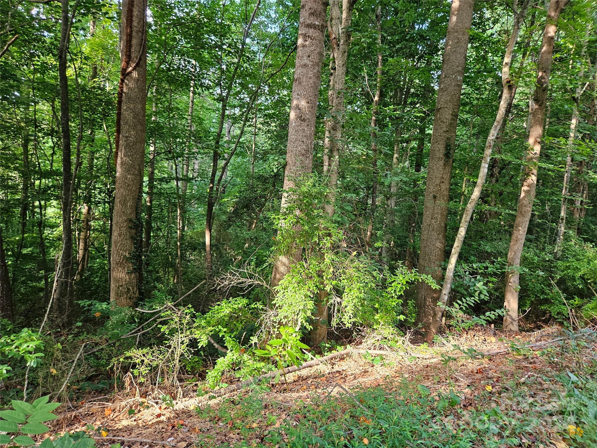 00 General Griffith Circle Rutherfordton NC 28139