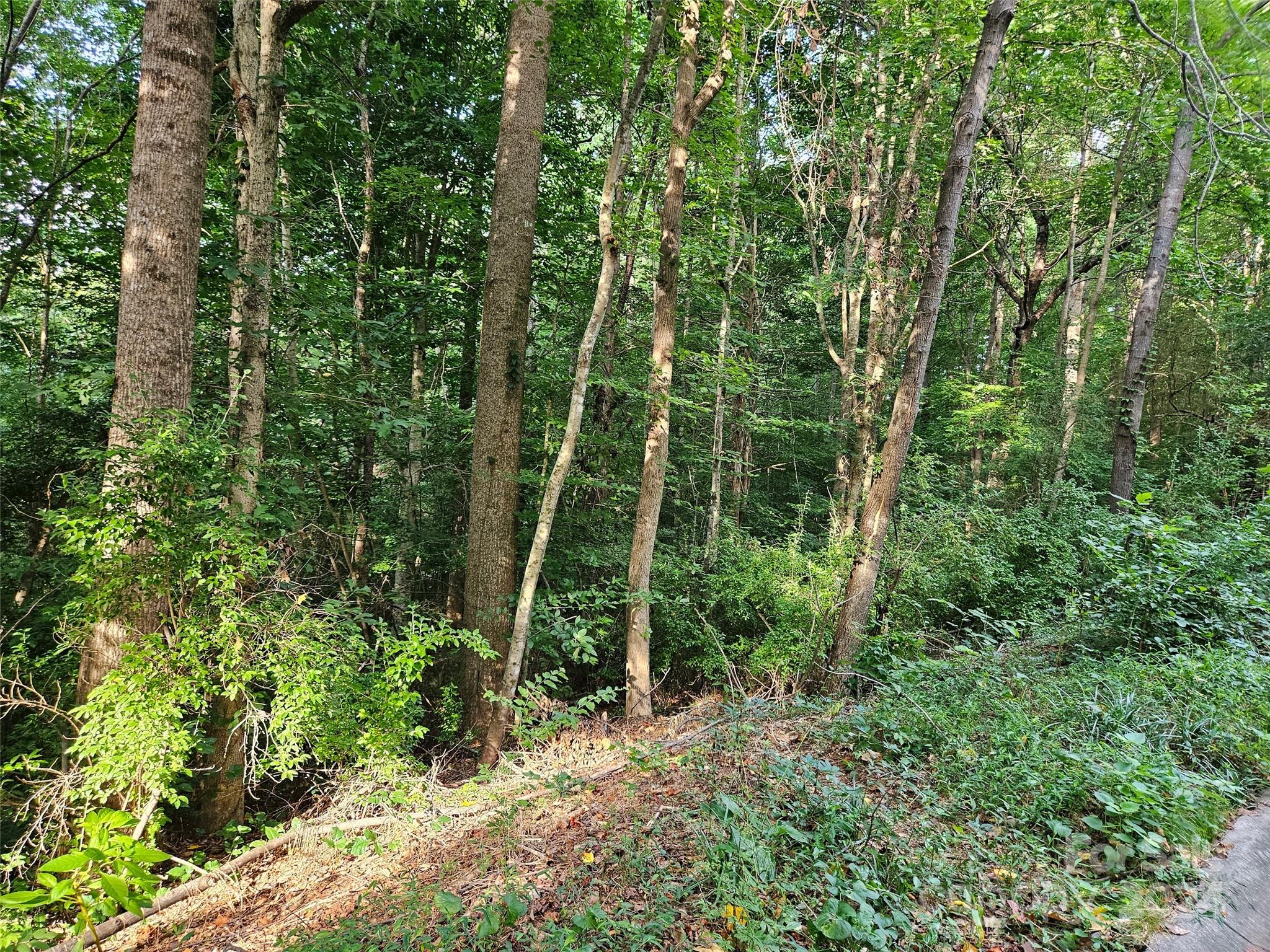 00 General Griffith Circle Rutherfordton NC 28139