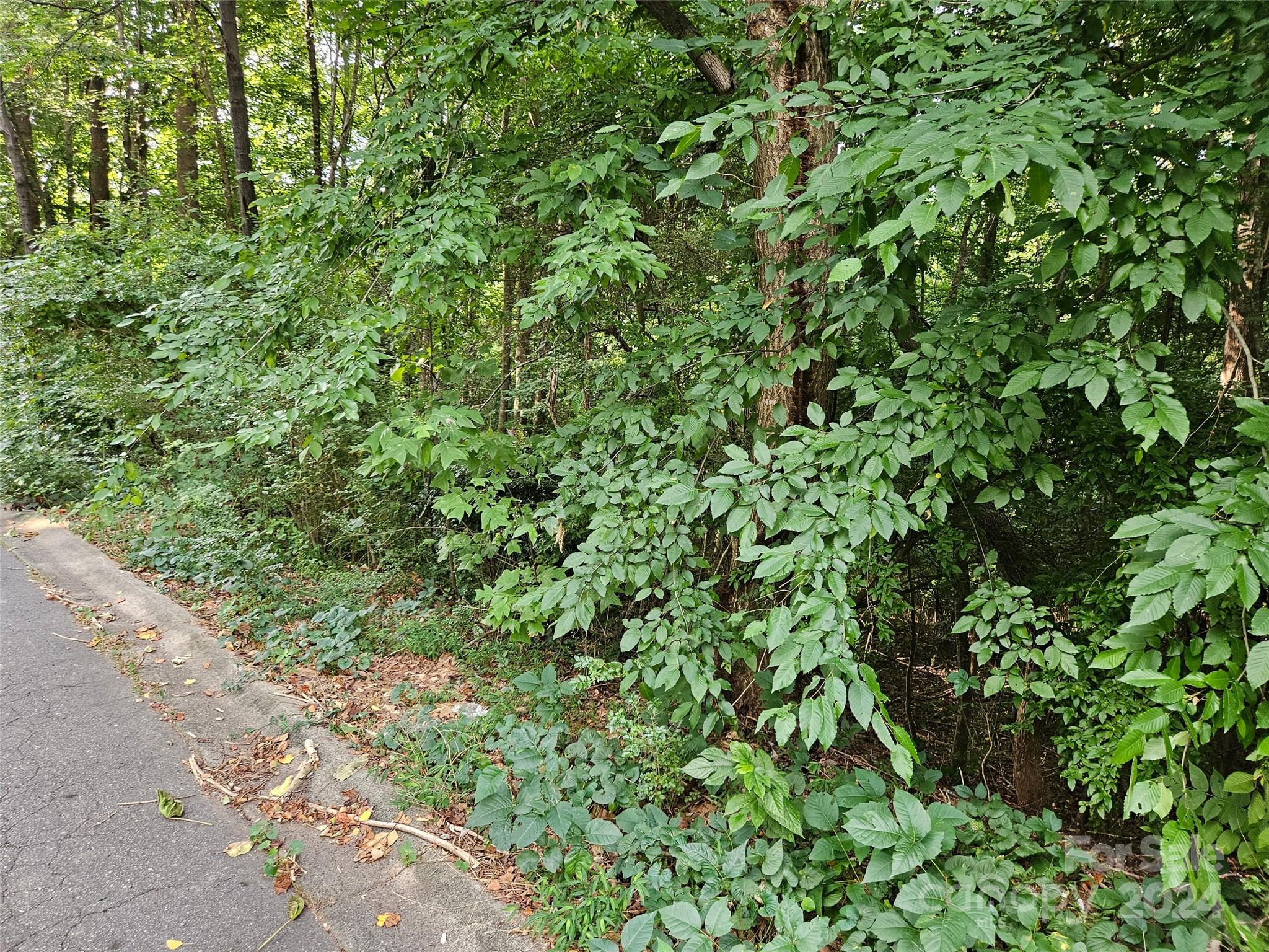 00 General Griffith Circle Rutherfordton NC 28139