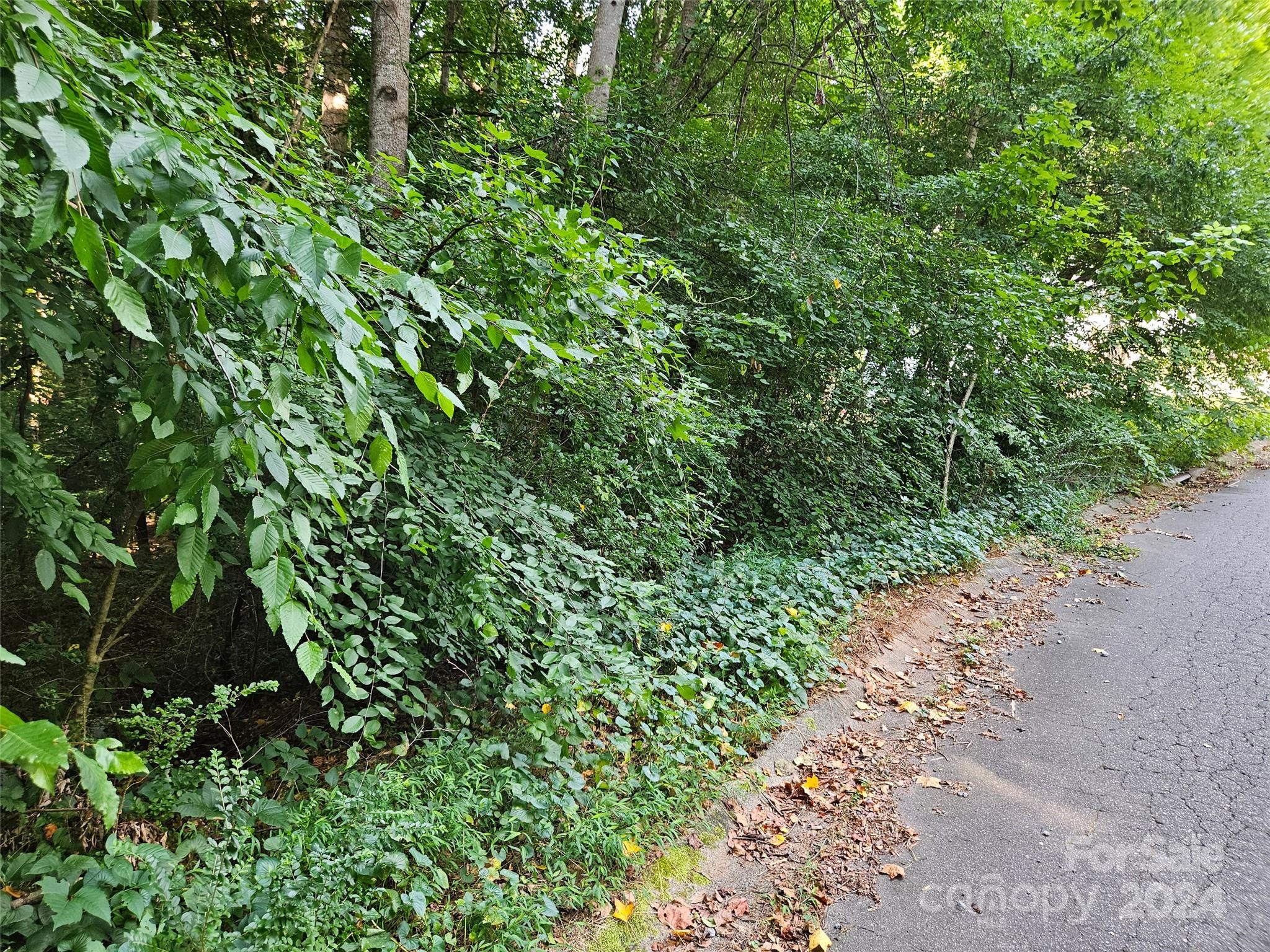 00 General Griffith Circle Rutherfordton NC 28139