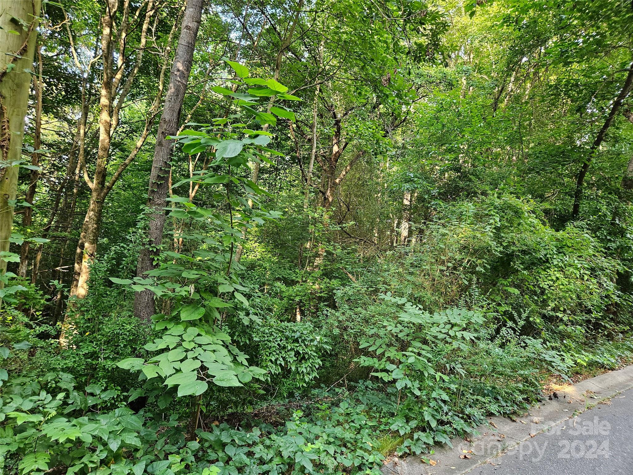 00 General Griffith Circle Rutherfordton NC 28139