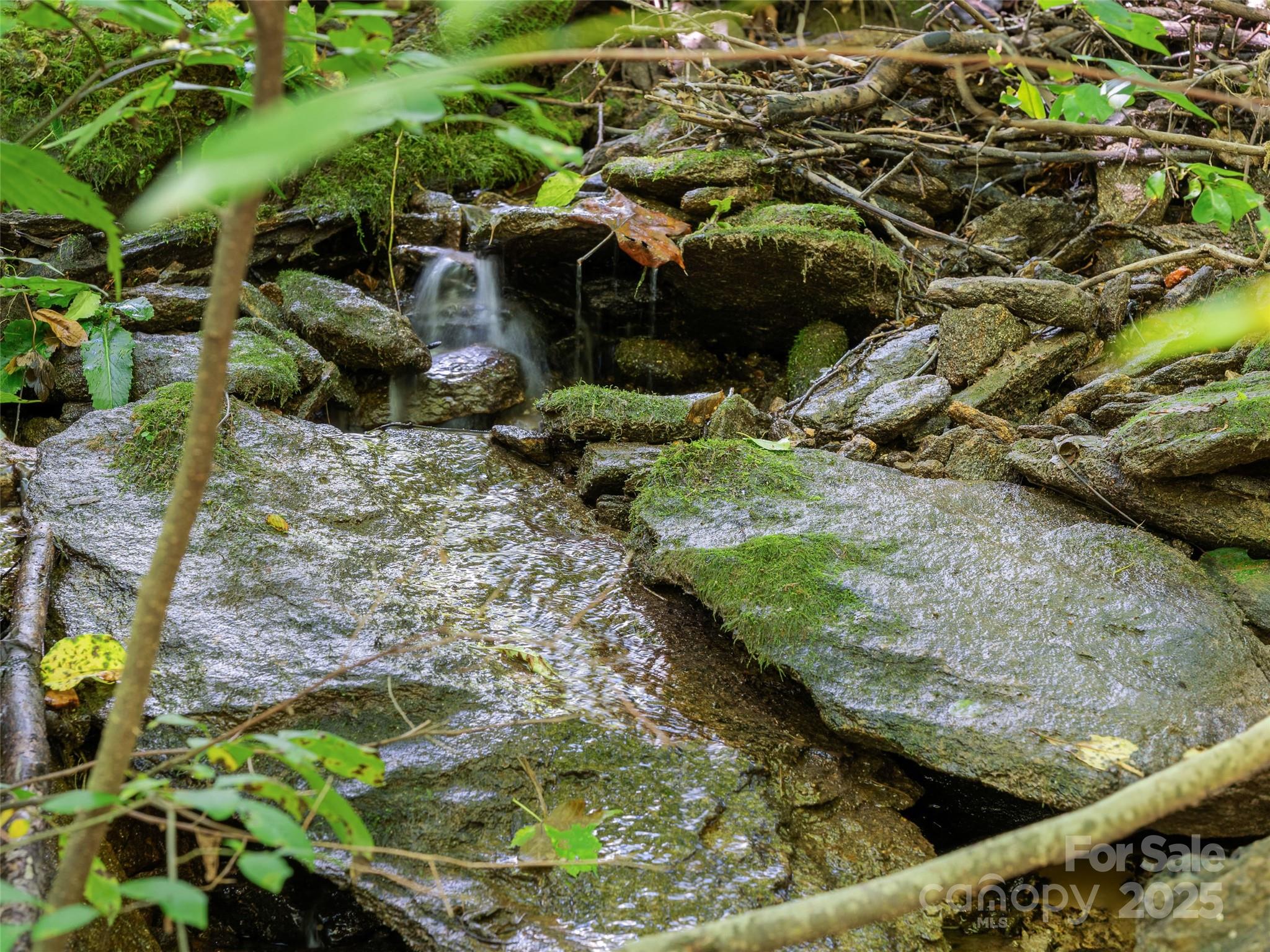 Lot 69 Falling Glen Drive Waynesville NC 28785
