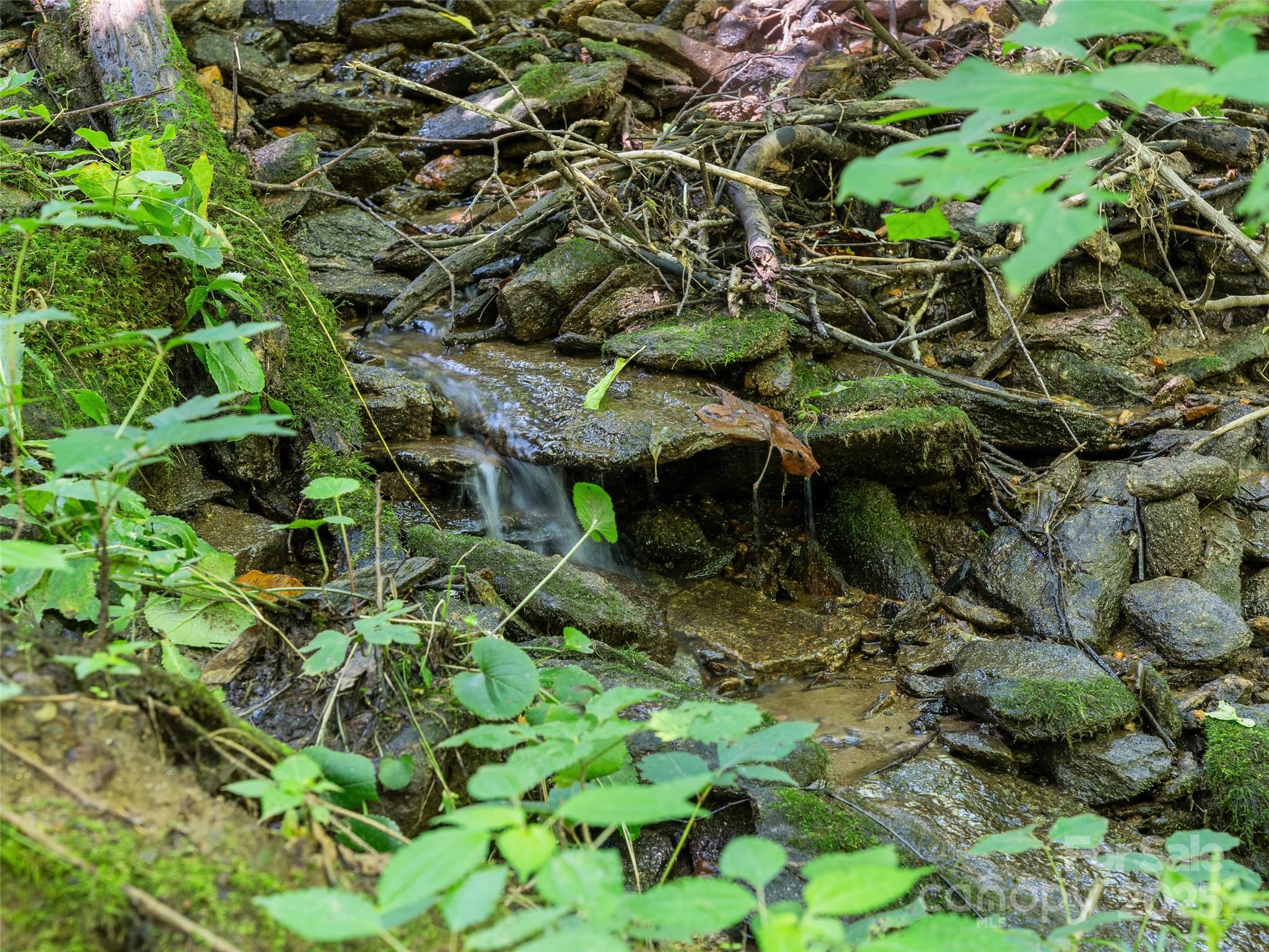 Lot 69 Falling Glen Drive Waynesville NC 28785