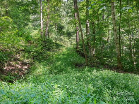 Lot 69 Falling Glen Drive Waynesville NC 28785