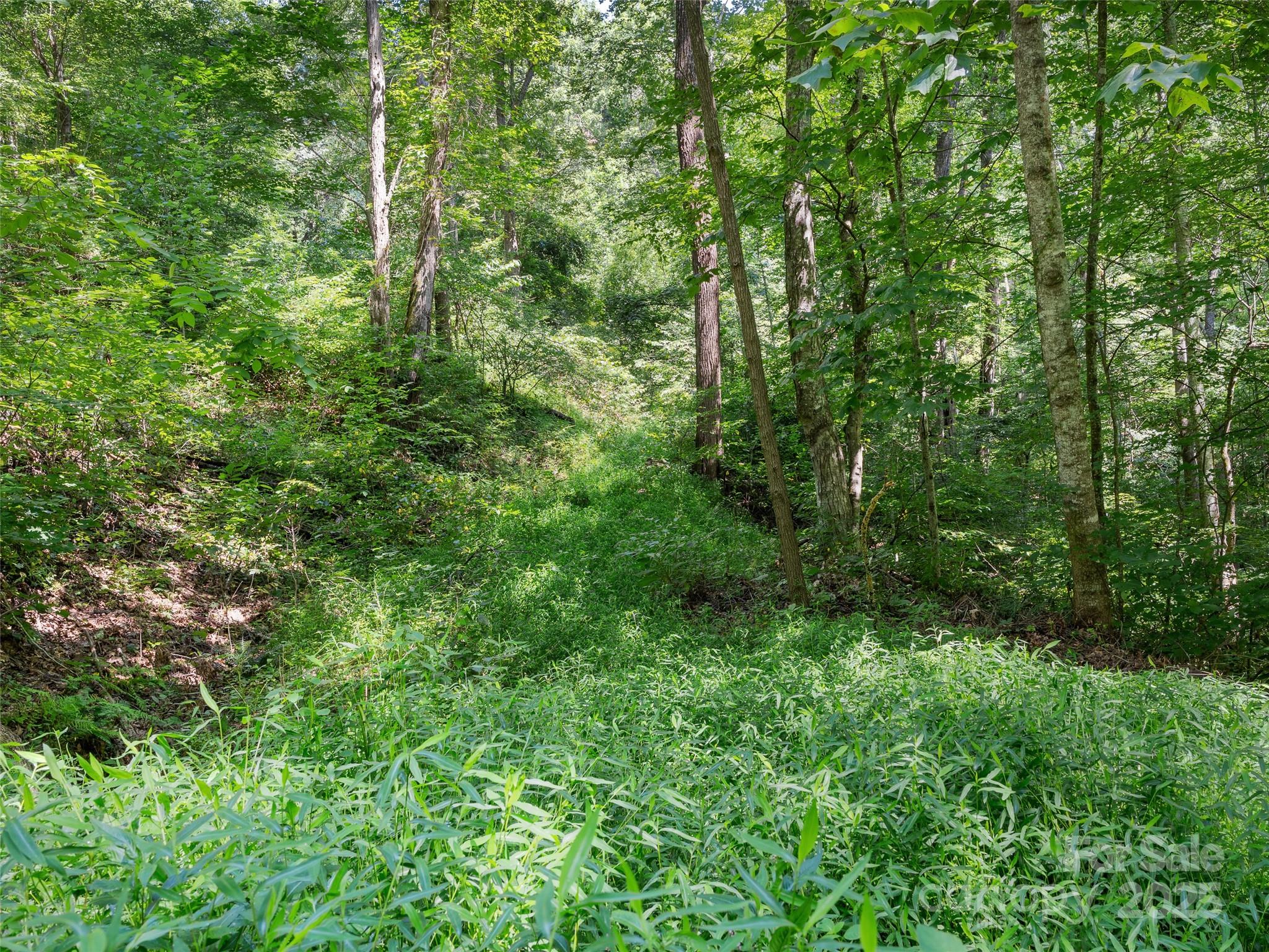 Lot 69 Falling Glen Drive Waynesville NC 28785