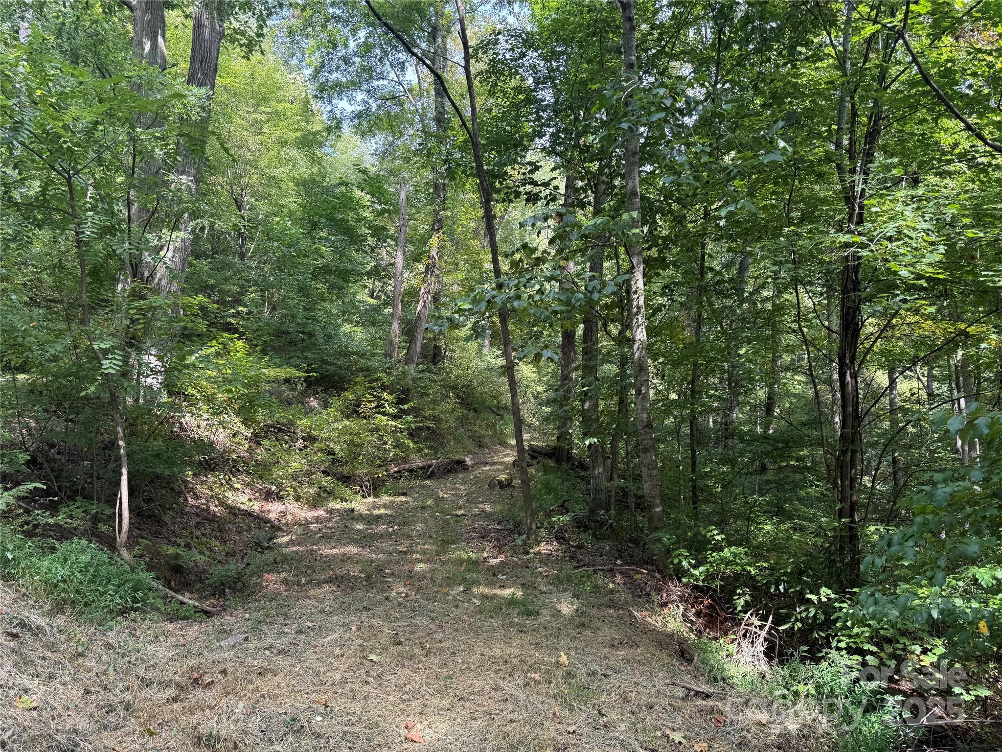 Lot 69 Falling Glen Drive Waynesville NC 28785