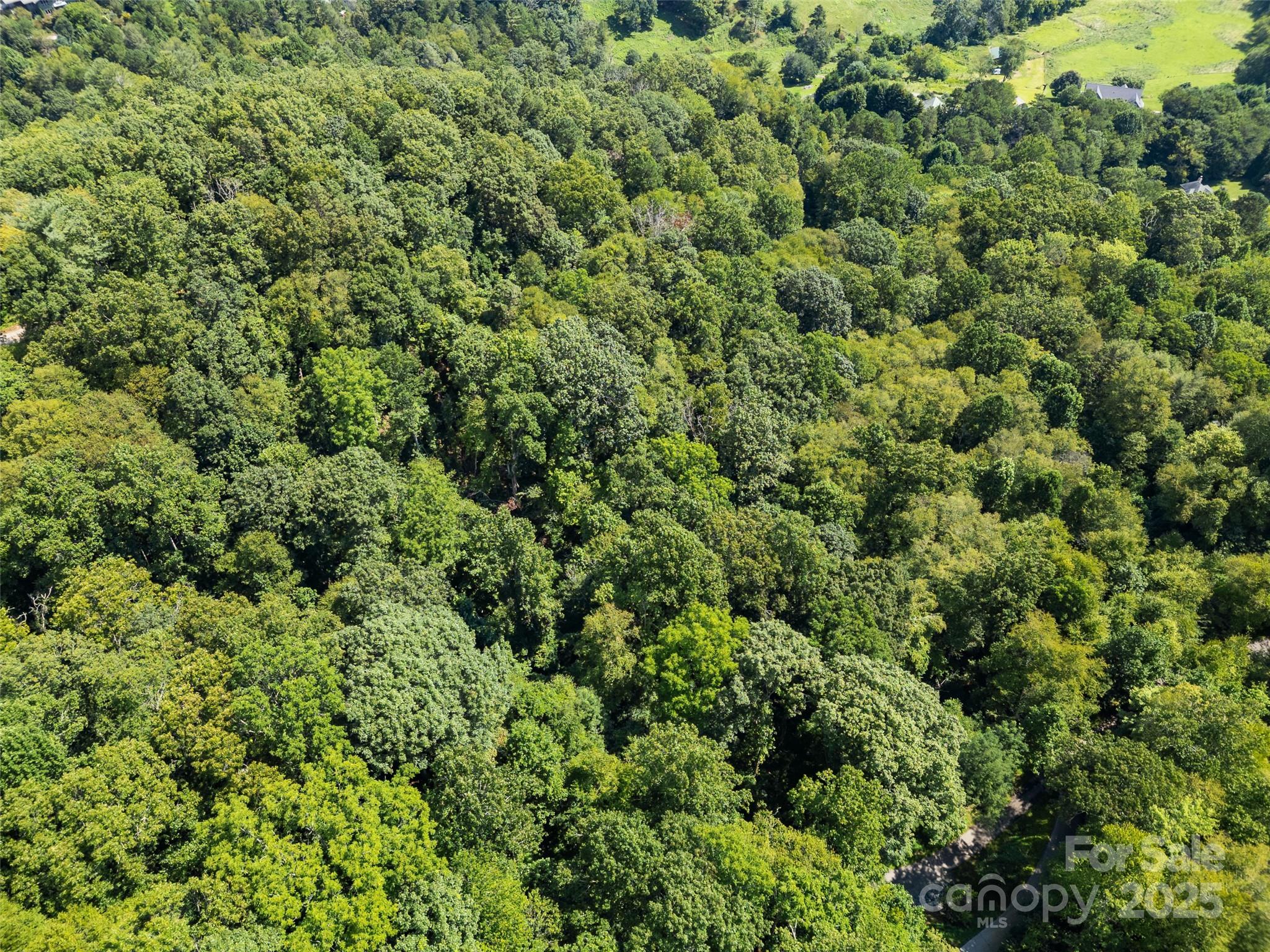 Lot 69 Falling Glen Drive Waynesville NC 28785