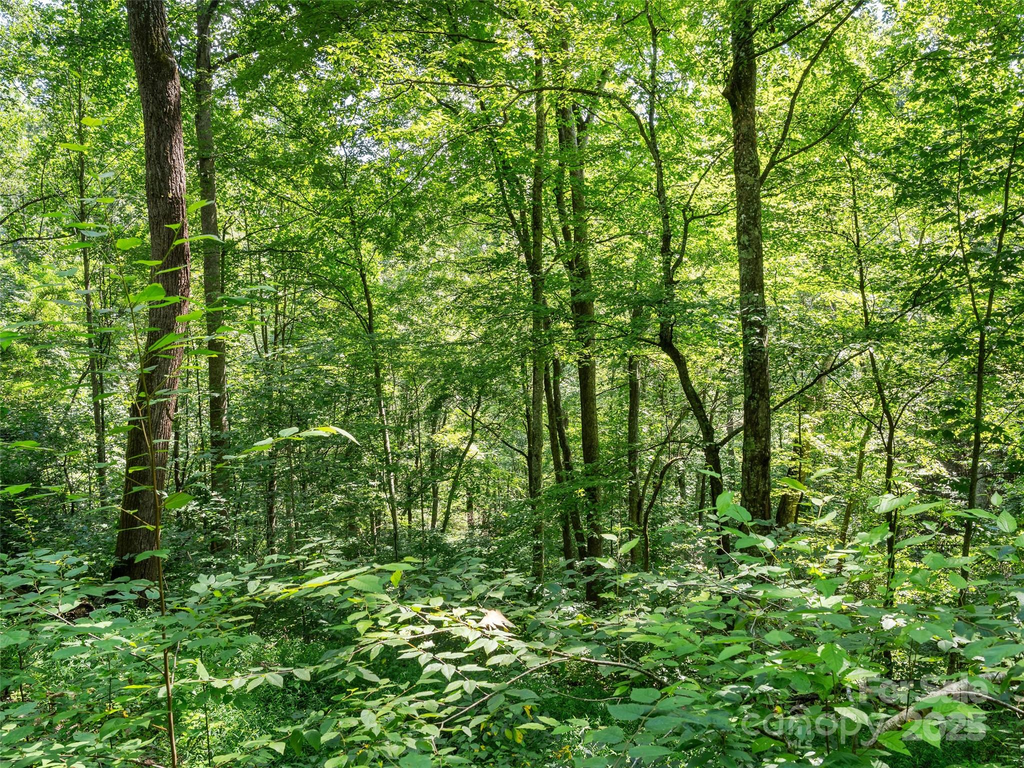 Lot 69 Falling Glen Drive Waynesville NC 28785