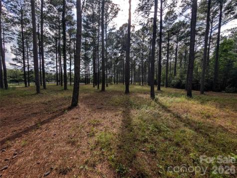0000 Blessed Hope Road York SC 29745
