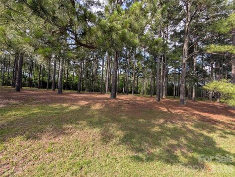 0000 Blessed Hope Road York SC 29745